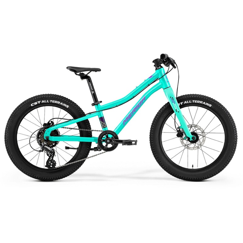 2025 MATTS J 20+ MATT MINT|KIDS 20″ WHEEL GEARED (7-9 Years Old)|MATT GREEN