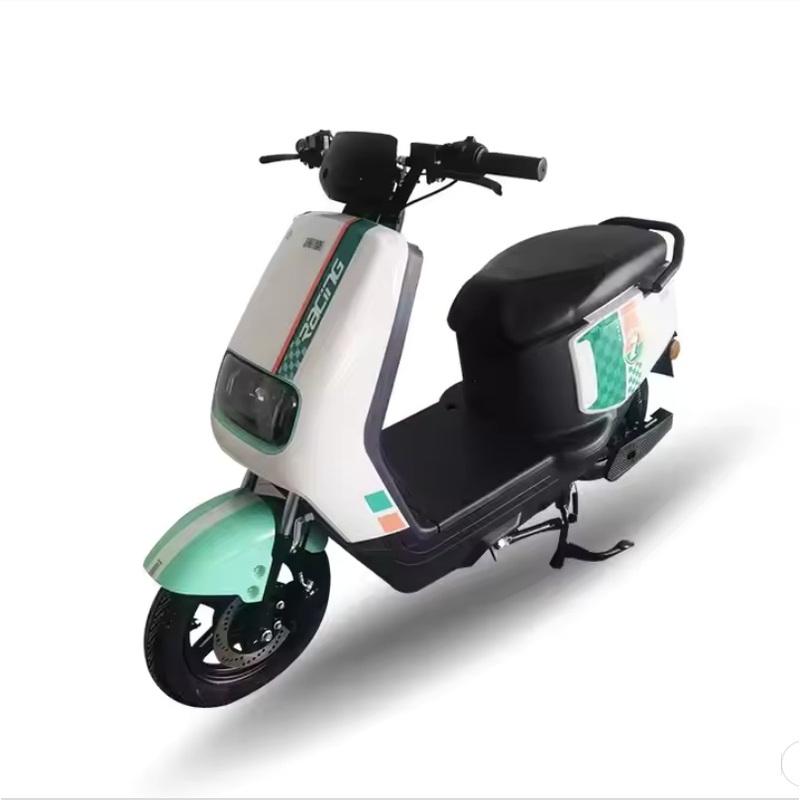 Factory Directly Sale 1000W Scooter Motorcycle/Adult Electric Motorcycle/Electric Motorcycle for Teenagers Dirt Bike E Bike Scooter Bike Pit Bike