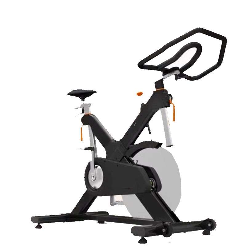 Newest Hoist Lemond Spin Bike for Fitness Club (SK-6516A)