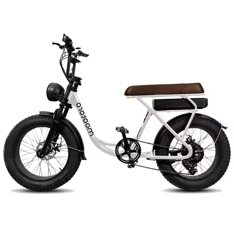 750W Aluminum Frame 10ah Lithium Battery Bike