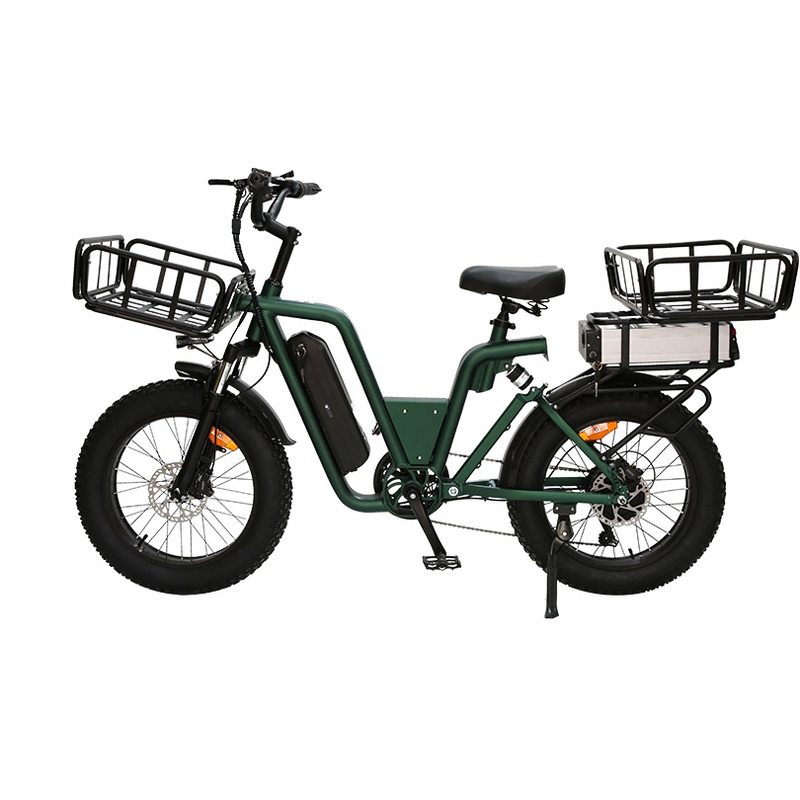 Aluminum Alloy 48V Adult Cargo Step Through 20inch Fat Tire Ebike Electric Bike