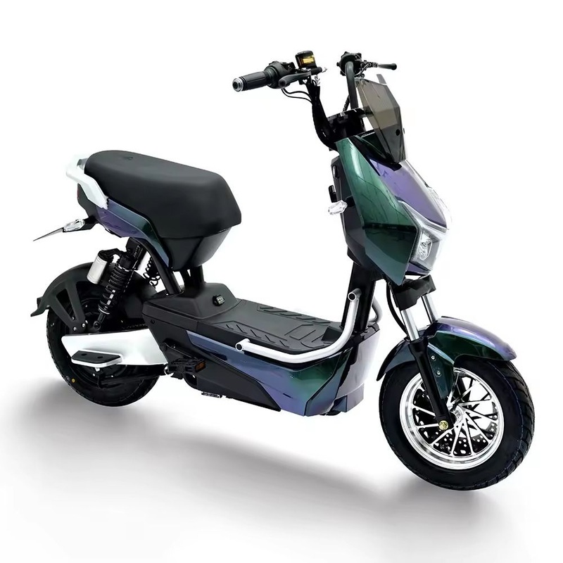 Electric Bike with Powerful Battery for Adults /500W Electric Bicycle