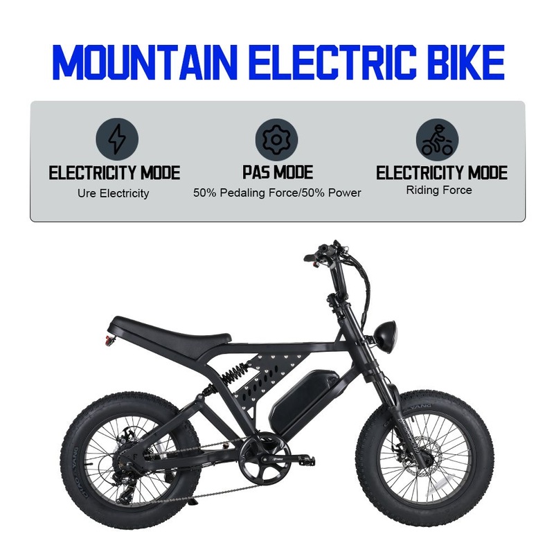Factory Outlet 20inch Electric Fat Tyre Bicycle Big Power 52V 750W/1000W Electric Mountain Bike Electric Bike