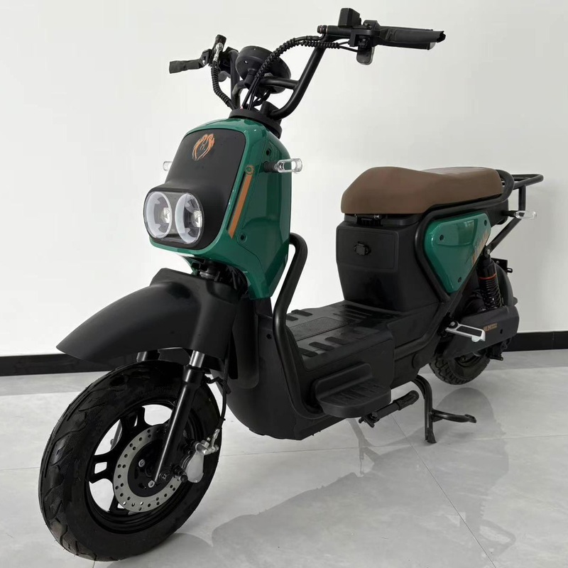 Heavy-Duty Electric Bicycle Motorcycle for Delivery – 800W Motor & 50km Range, DDP Shipping Available