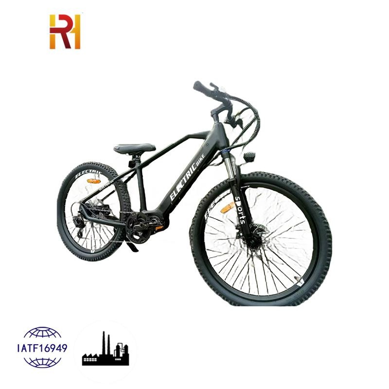 MTB Fast Modern off Road Bike 500W 10ah Sport Street Electric Bike