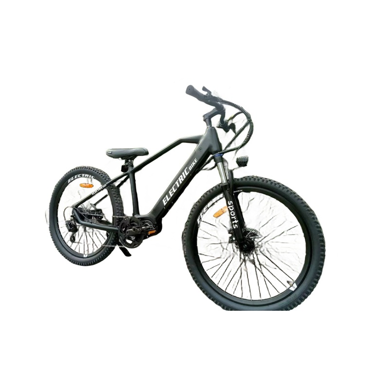 New Arrival 48V 10ah 500W Electric Bike with Removable Battery Bafang