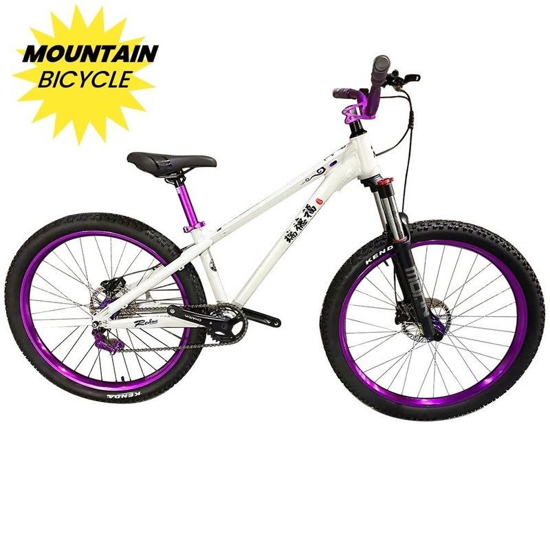 Chinese Style 26inch Alloy Bicycle Double Suspension Mountain Bike Single Speed with Hydraulic Disc Brakes