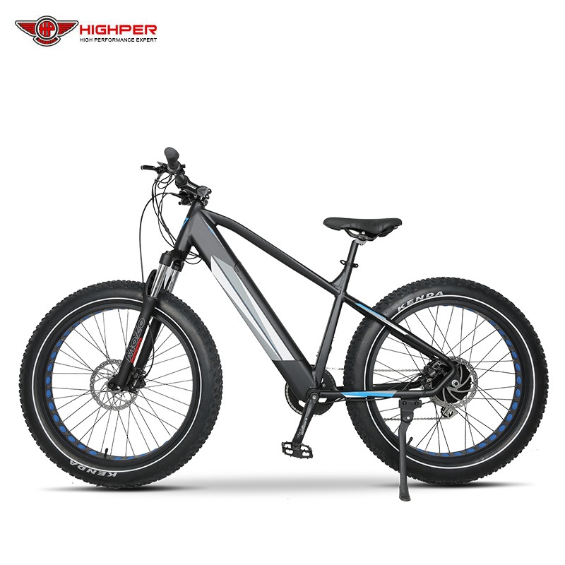 Lithium Battery 48V 500W Brushless Motor Electric City Bike Mountain E Bicycle