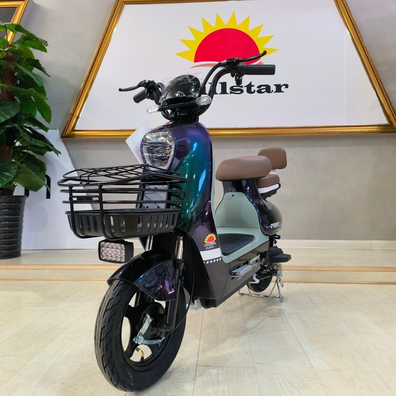 Willstar Electric Moped / Electric Bicycles Ty298 Chilwee Lead-Acid Battery Powerful Energy