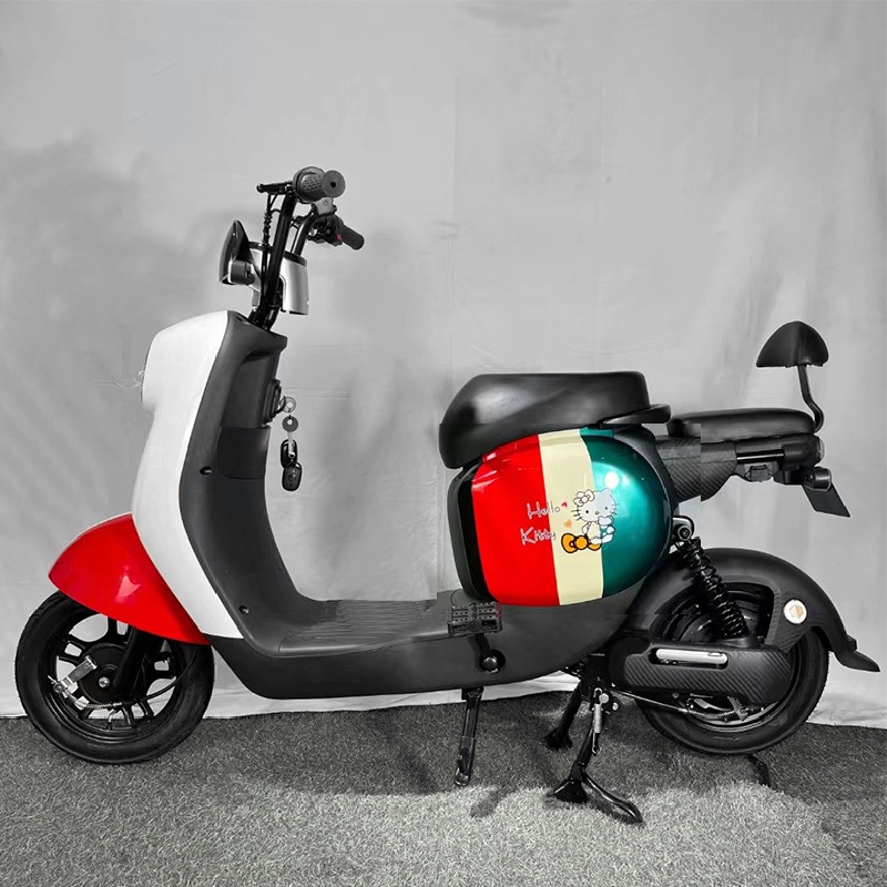 Factory Sale Carbon Steel Classic Mode E-Biketwo Seats 48V 500W Electric Bicycle