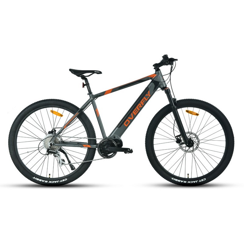 Crius All-Terrain E-MTB Bafang 250W MID-Drive Motor 36V Mountain Electric Bike