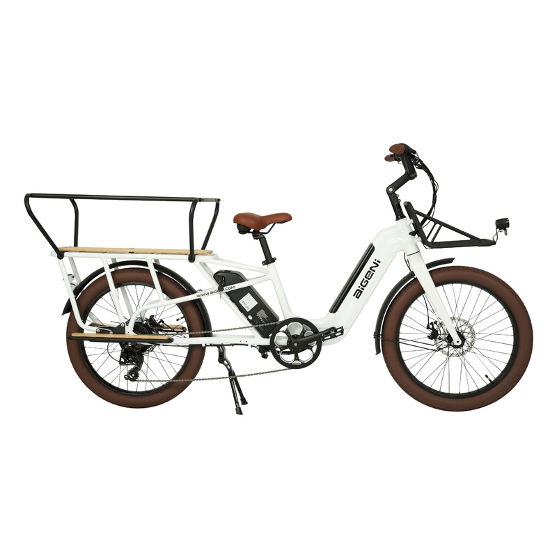 New Cargo Ebike 48V 350W Fat Tire Family Electric Bicycle Af2422