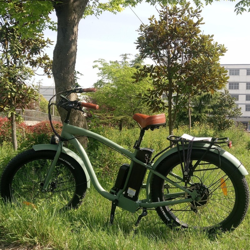 Fat Tyre Electric Bike with 500W