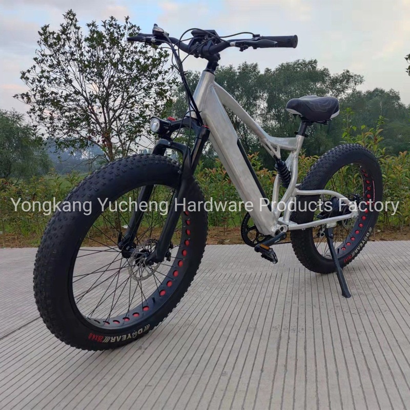 Hot Selling 26 Inch Mountain Fat Tire Beach Cruiser Electric Bicycle 500W/750W